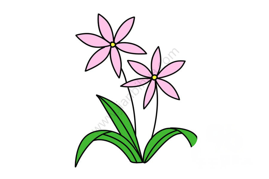 蘭花簡筆畫圖片