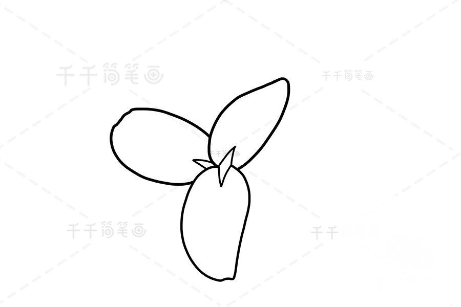 畫百合花三片花瓣