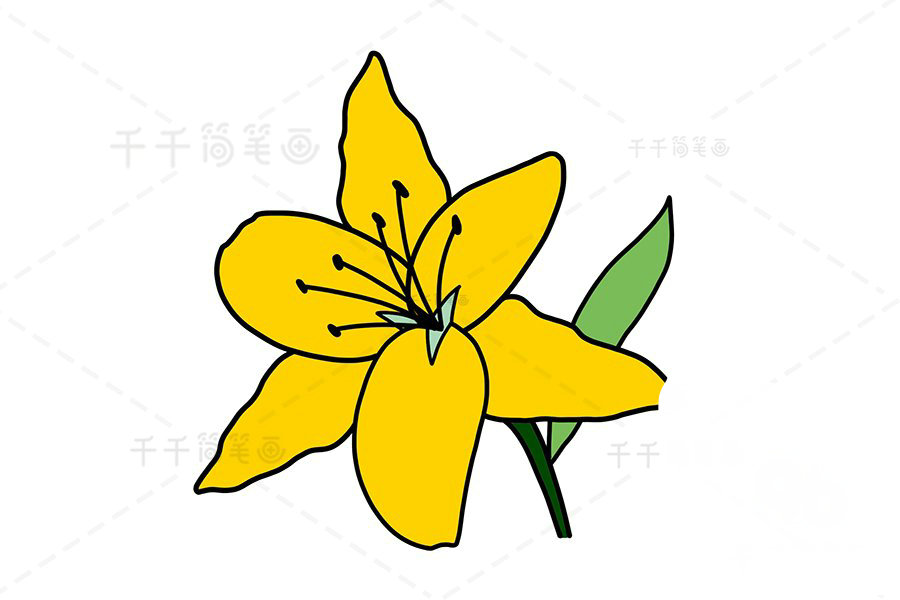 黃百合花簡筆畫