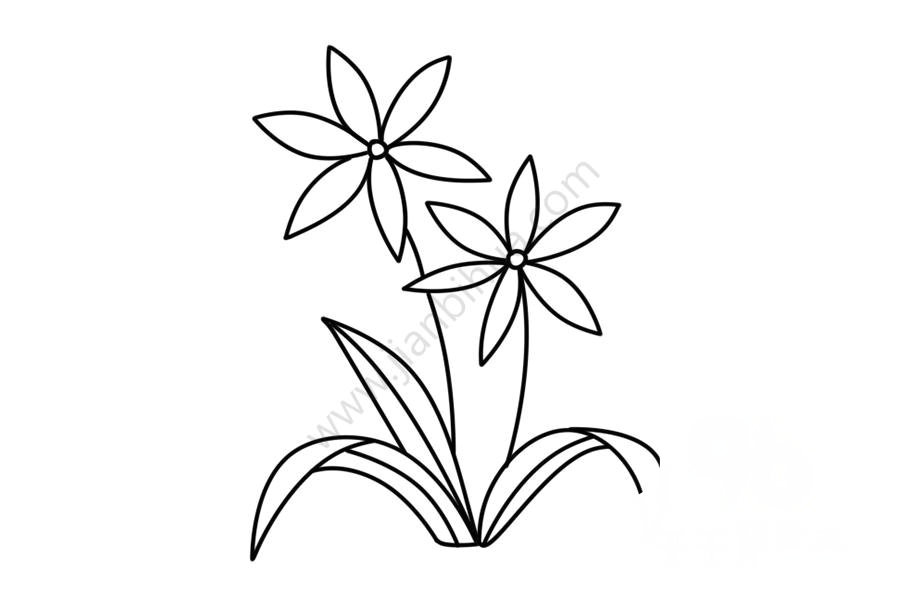 輕松學(xué)蘭花簡筆畫圖片