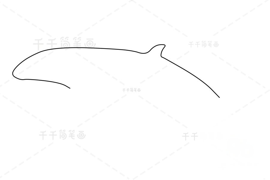 巨口鯊身體與鰭