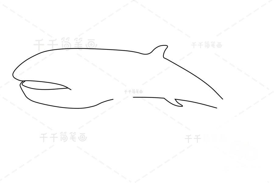 巨口鯊嘴巴與鰭