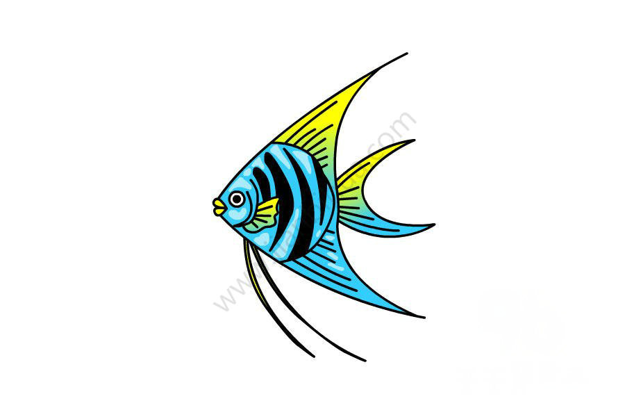 神仙魚簡筆畫示例