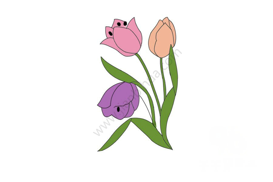 五彩繽紛的郁金香簡(jiǎn)筆畫