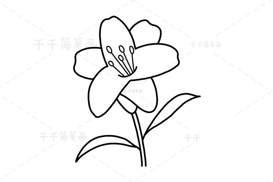 繪制葉子