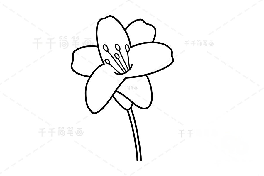 繪制枝干