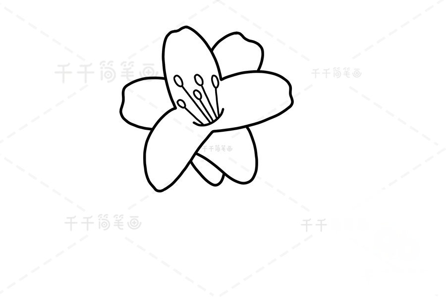 繪制花芯