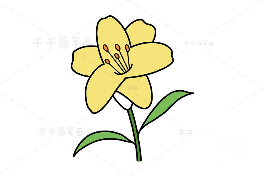 黃百合花簡筆畫