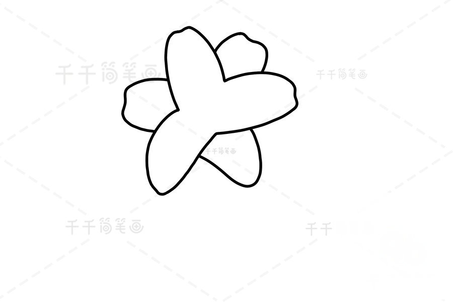 繪制所有花瓣