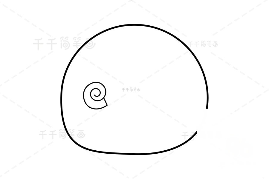 繪制巴西渦螺輪廓