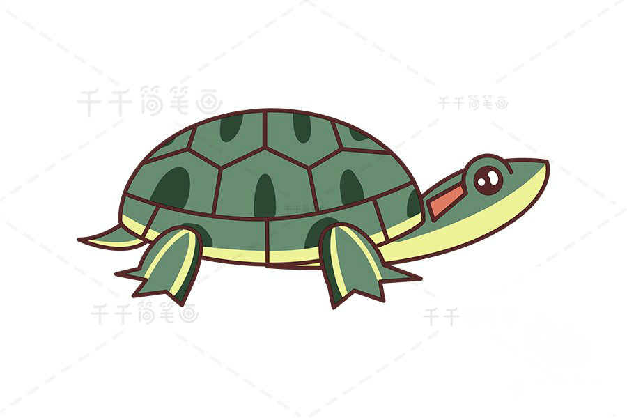巴西龜簡筆畫