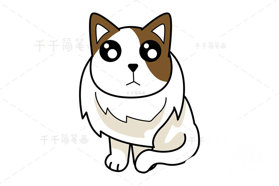 布偶貓簡筆畫示例