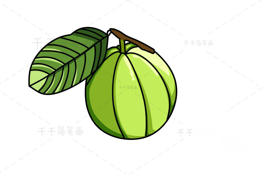 芭樂圖片