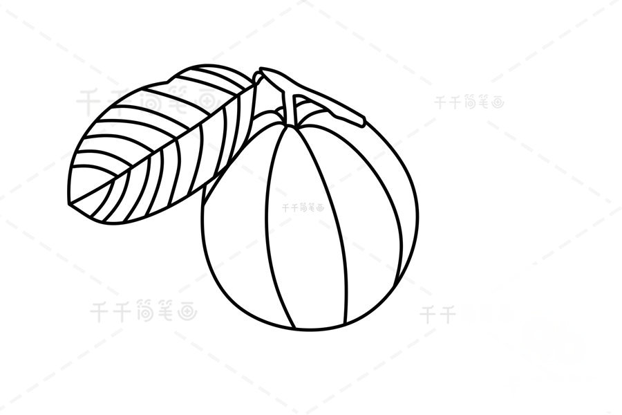 芭樂葉子