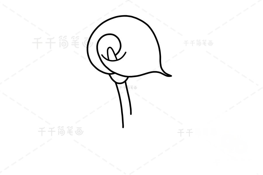 馬蹄蓮簡(jiǎn)筆畫