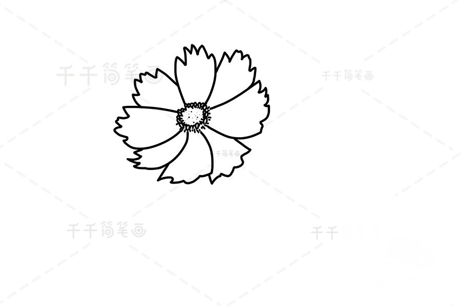 如何畫黃矢車菊