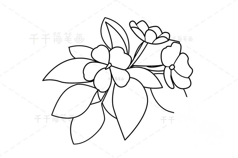 何氏鳳仙簡(jiǎn)筆畫(huà)成品