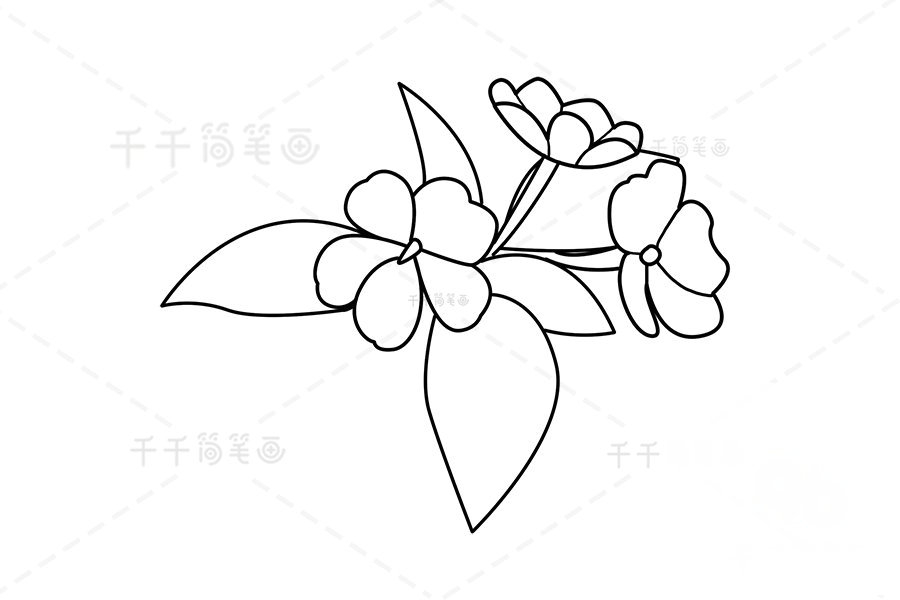 何氏鳳仙簡(jiǎn)筆畫(huà)步驟