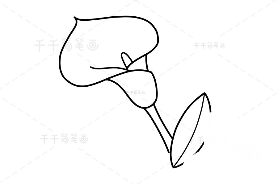 馬蹄蓮填充色