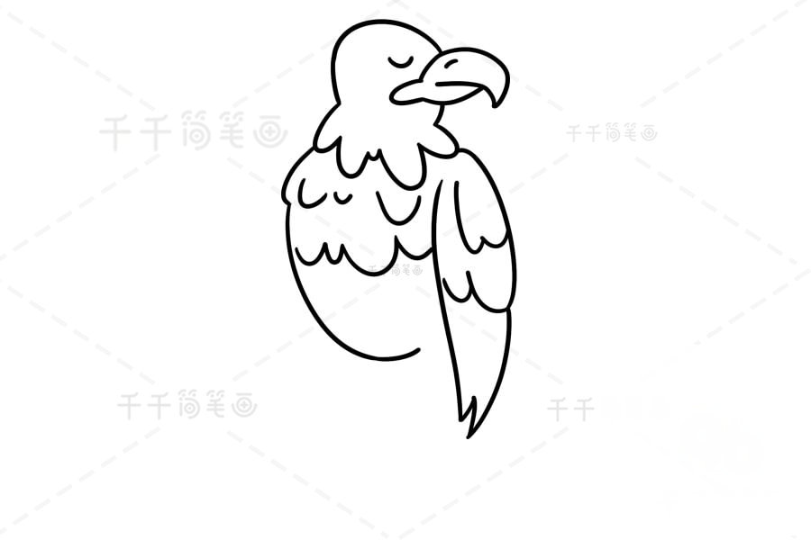 老鷹身體繪制
