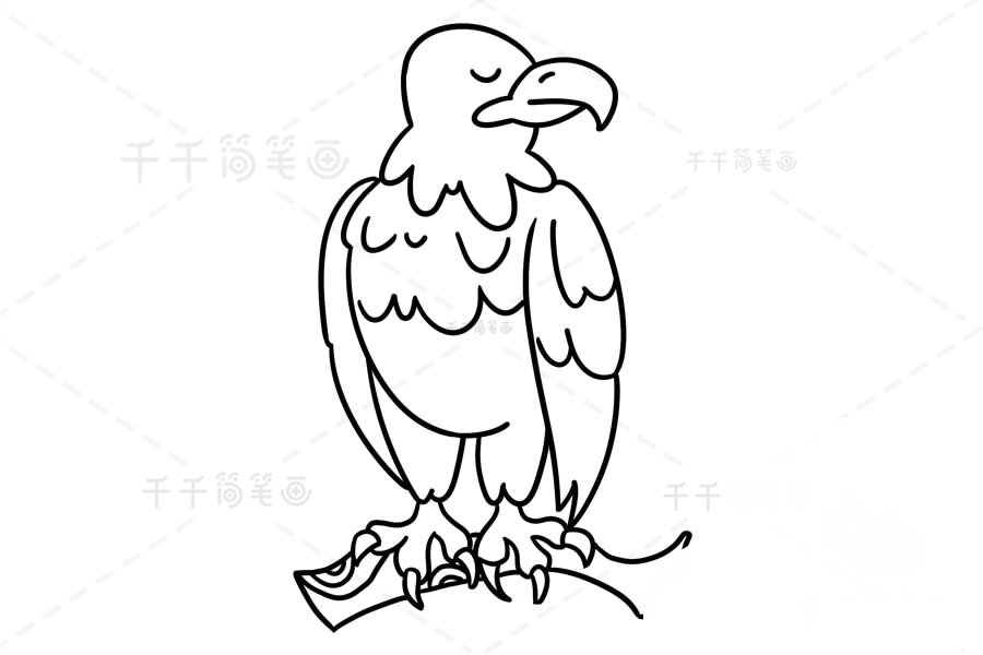 老鷹爪子和樹枝繪制