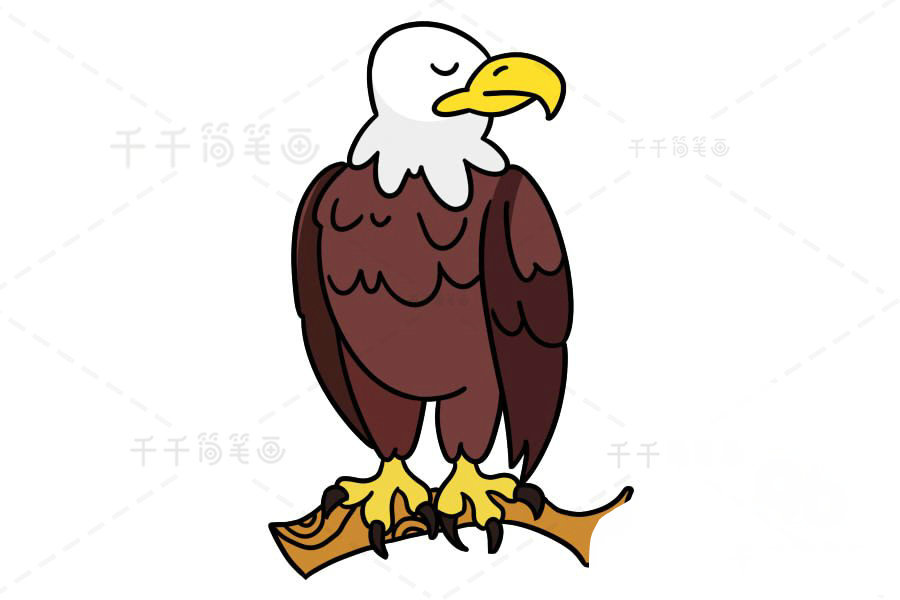 老鷹簡筆畫成品圖