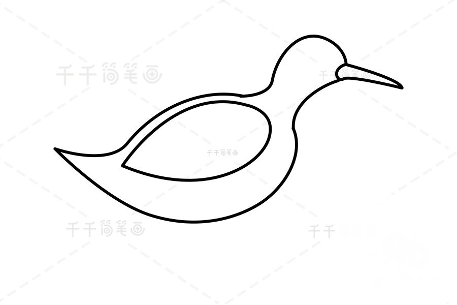 白胸苦惡鳥簡(jiǎn)筆畫步驟二