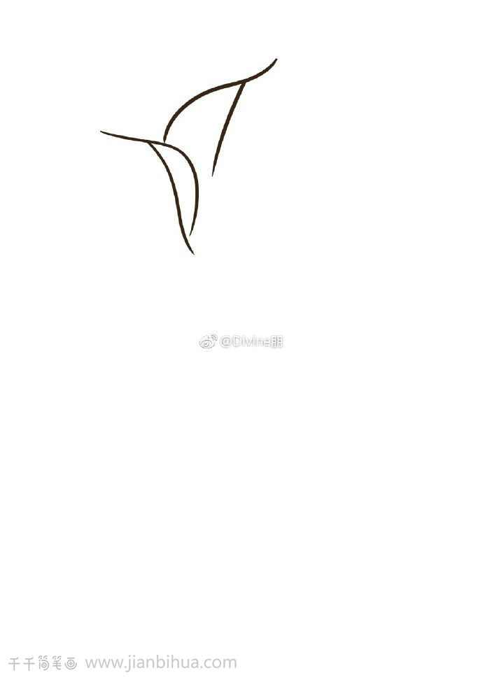 馬蹄蓮簡筆畫步驟圖