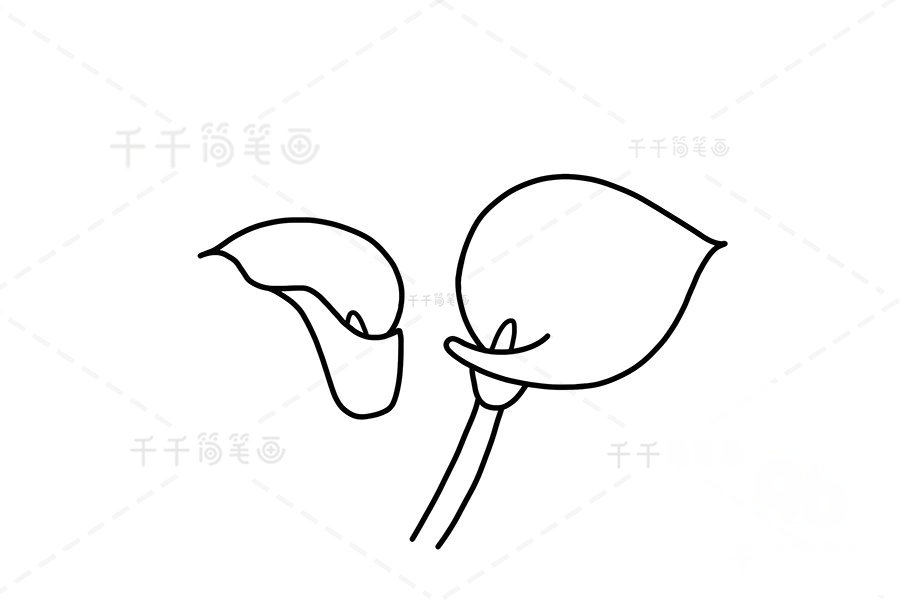 馬蹄蓮簡(jiǎn)筆畫添加陰影