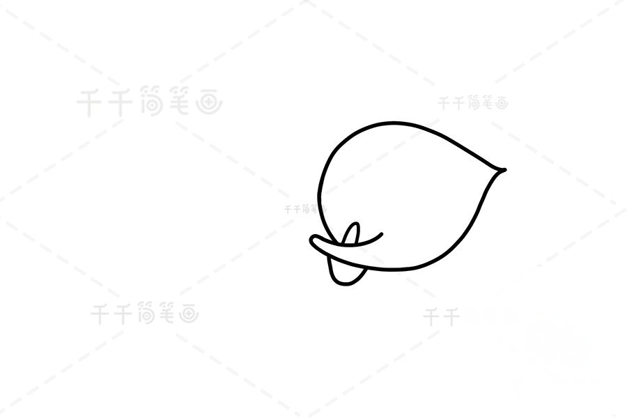 馬蹄蓮簡(jiǎn)筆畫步驟圖