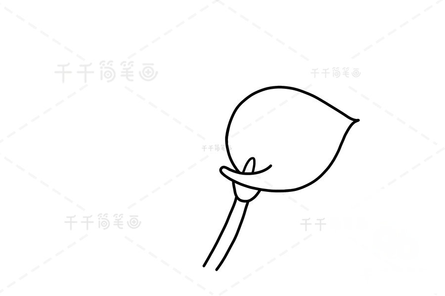 馬蹄蓮簡(jiǎn)筆畫細(xì)化