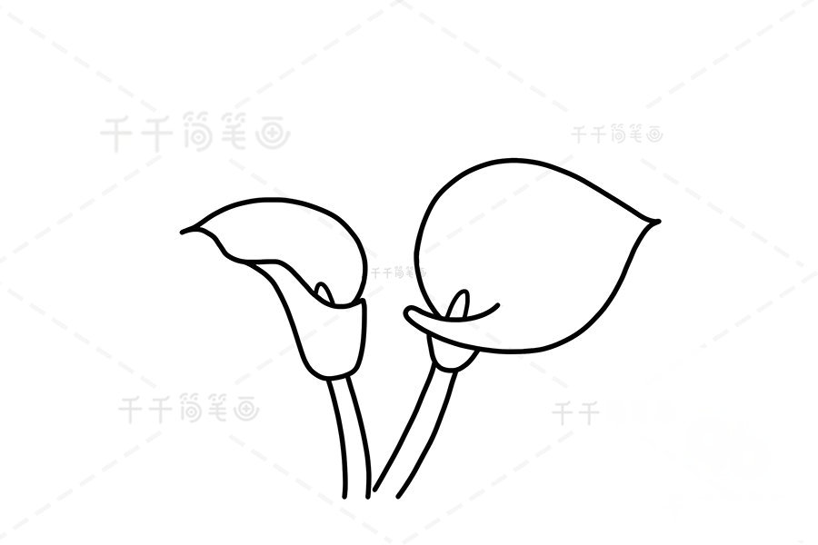 馬蹄蓮簡(jiǎn)筆畫練習(xí)