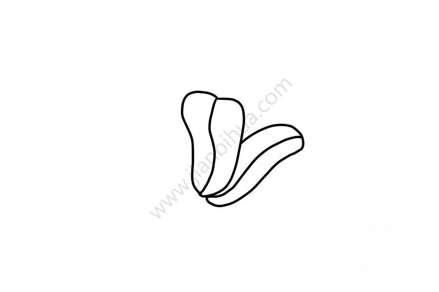 生動(dòng)的木蘭花簡(jiǎn)筆畫3