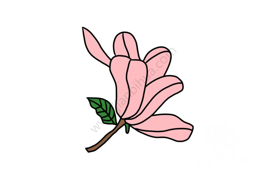 生動(dòng)的木蘭花簡(jiǎn)筆畫1