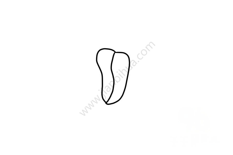 生動(dòng)的木蘭花簡(jiǎn)筆畫2
