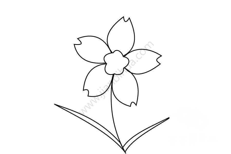 黃色花朵簡筆畫第二步