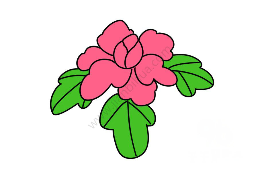 牡丹花簡(jiǎn)筆畫(huà)