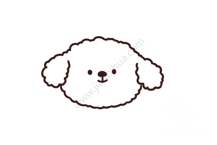 白色泰迪狗頭像簡筆畫細(xì)節(jié)