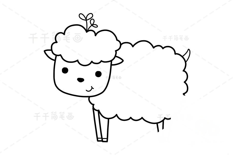 綿羊四肢