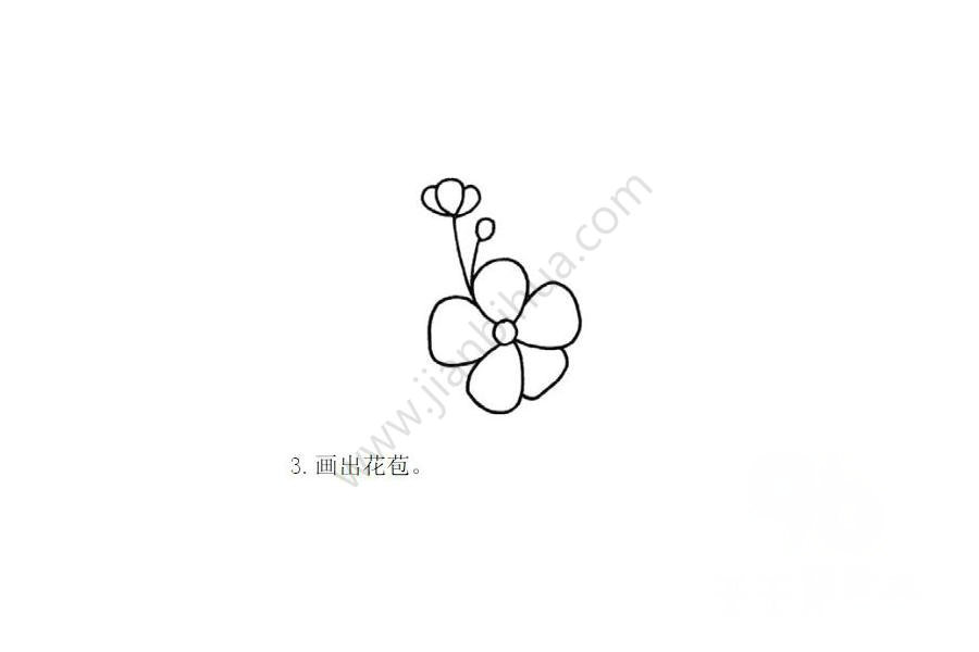 畫出花苞