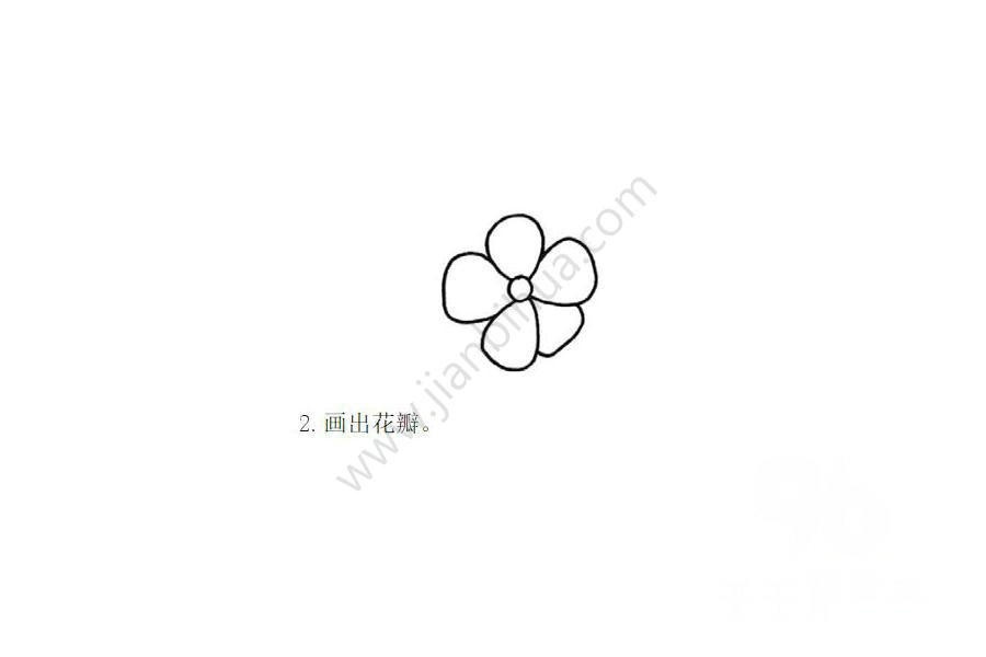 畫出花瓣