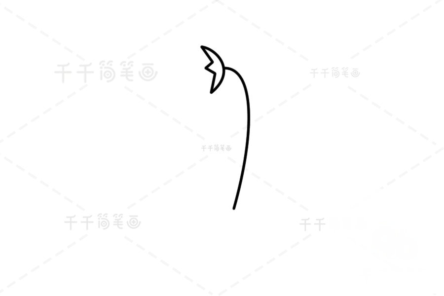 高山捕蟲堇簡筆畫圖片