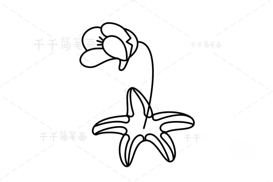高山捕蟲堇簡筆畫