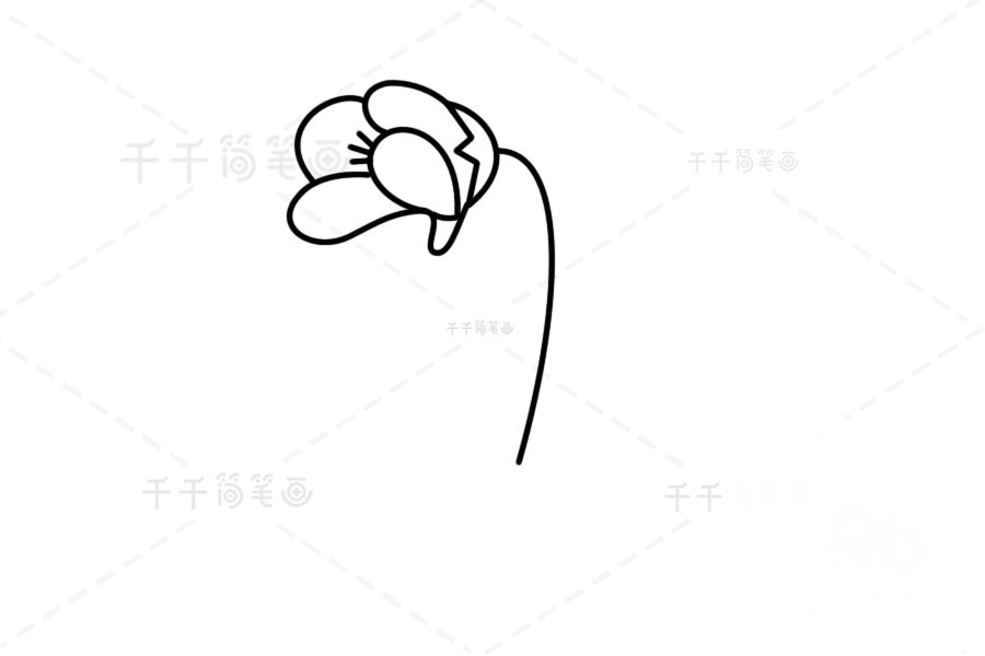 高山捕蟲堇簡筆畫怎么畫