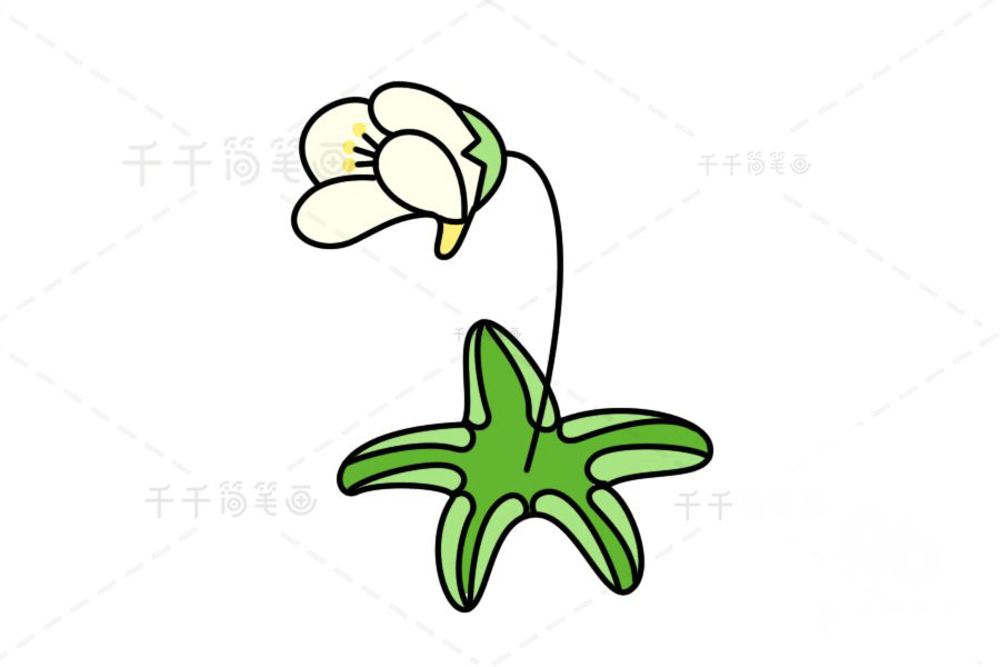 高山捕蟲堇