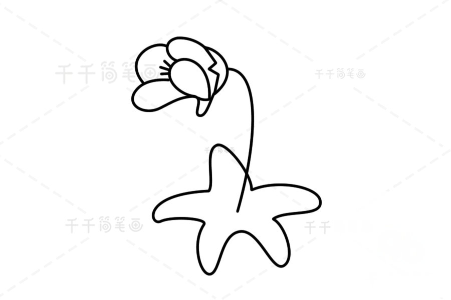 高山捕蟲堇簡筆畫步驟圖