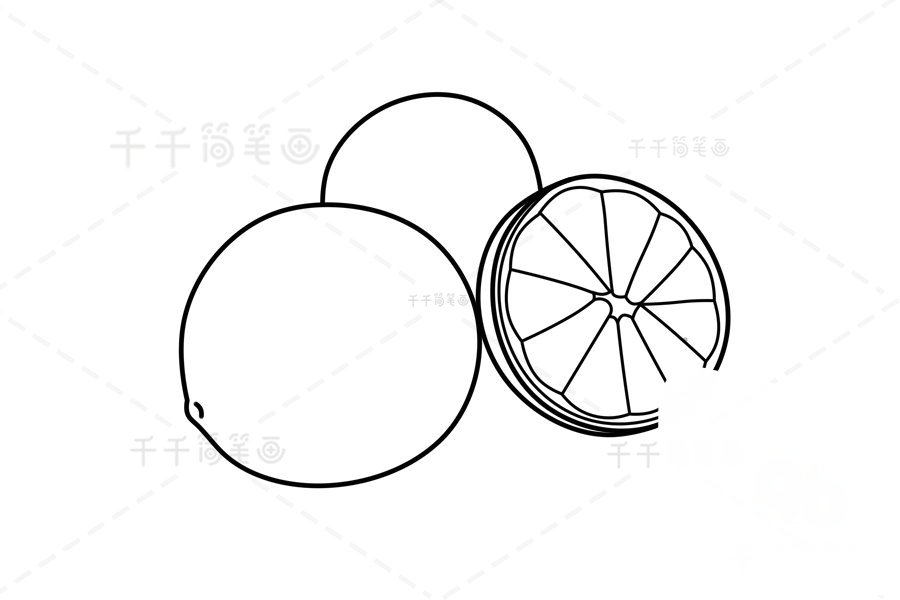 繪制萊姆的第三步