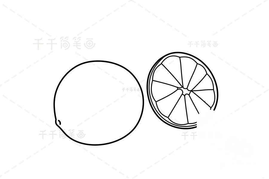 繪制萊姆的第二步