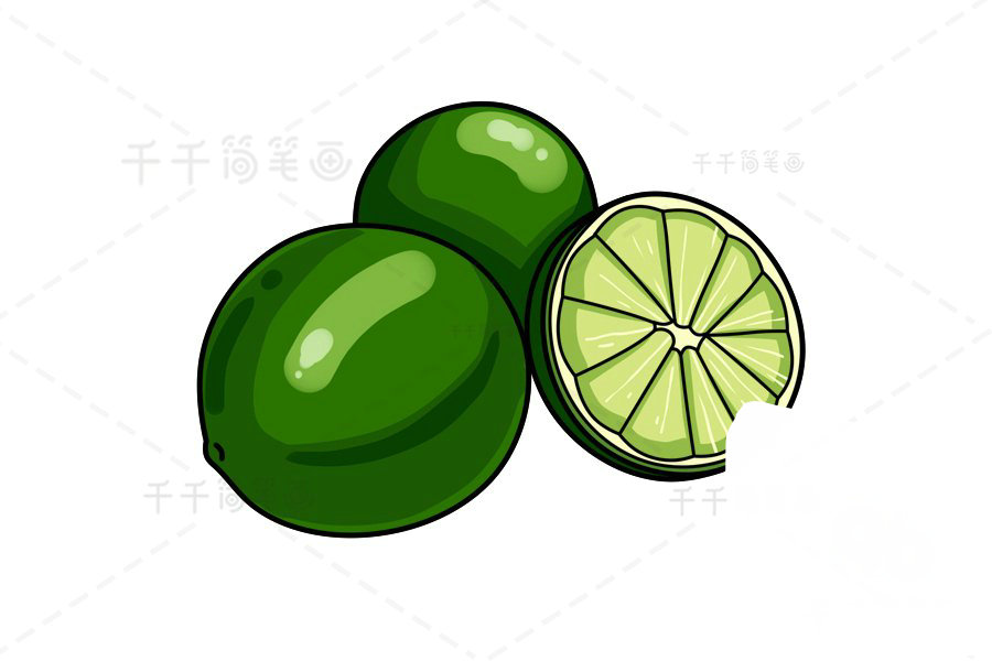 萊姆簡(jiǎn)筆畫(huà)教程示例
