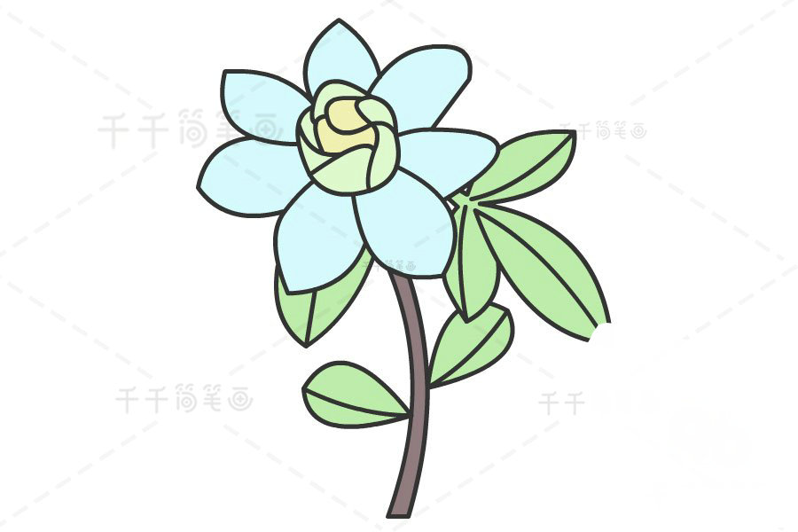 藍(lán)色小花簡筆畫